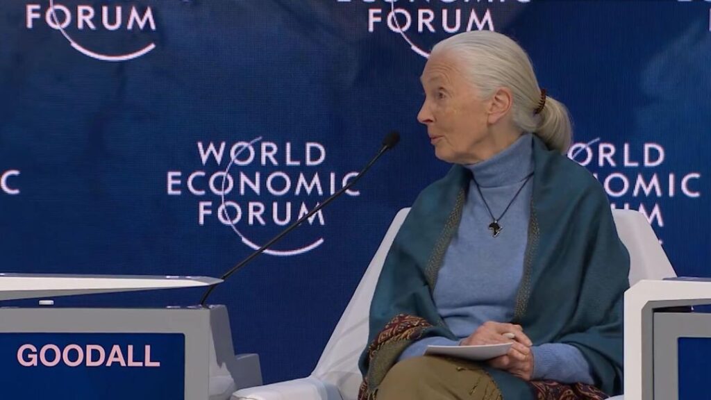 Nein, Jane Goodall schlug keine „Entvölkerung“ als Lösung für den Klimawandel vor - Featured image
