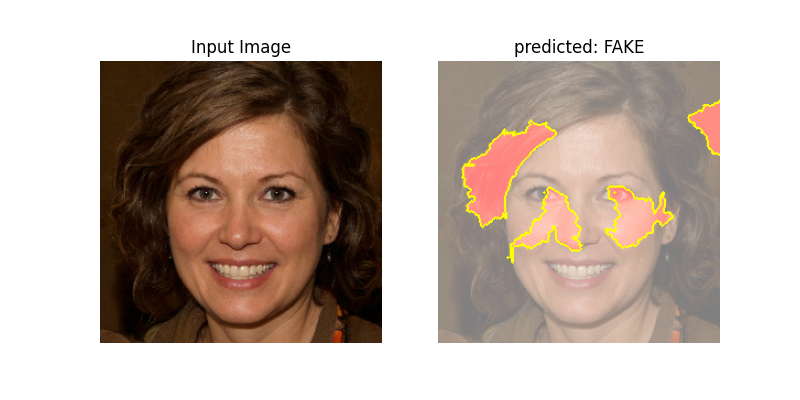 Detection of an AI generated fake face