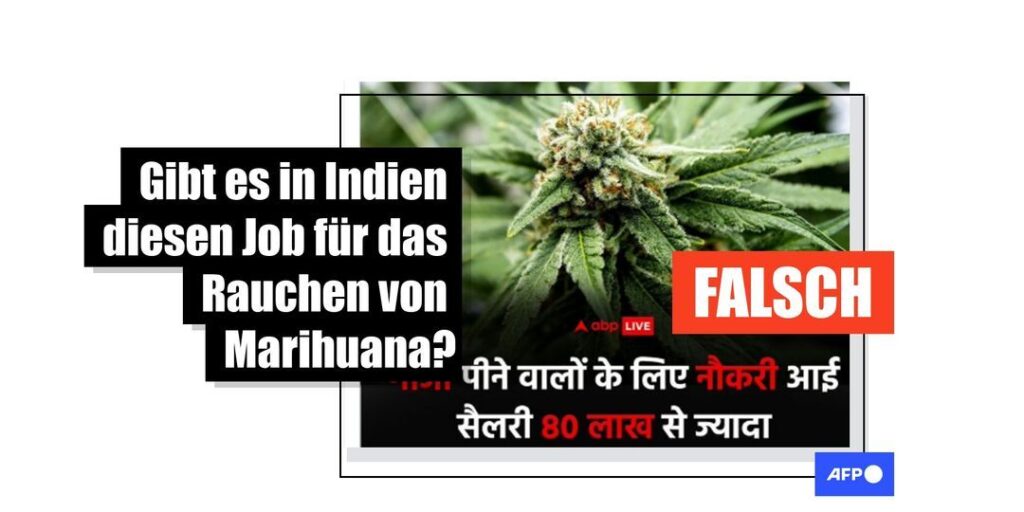 Dieses Stellenangebot richtet sich an deutsche Cannabispatienten - Featured image