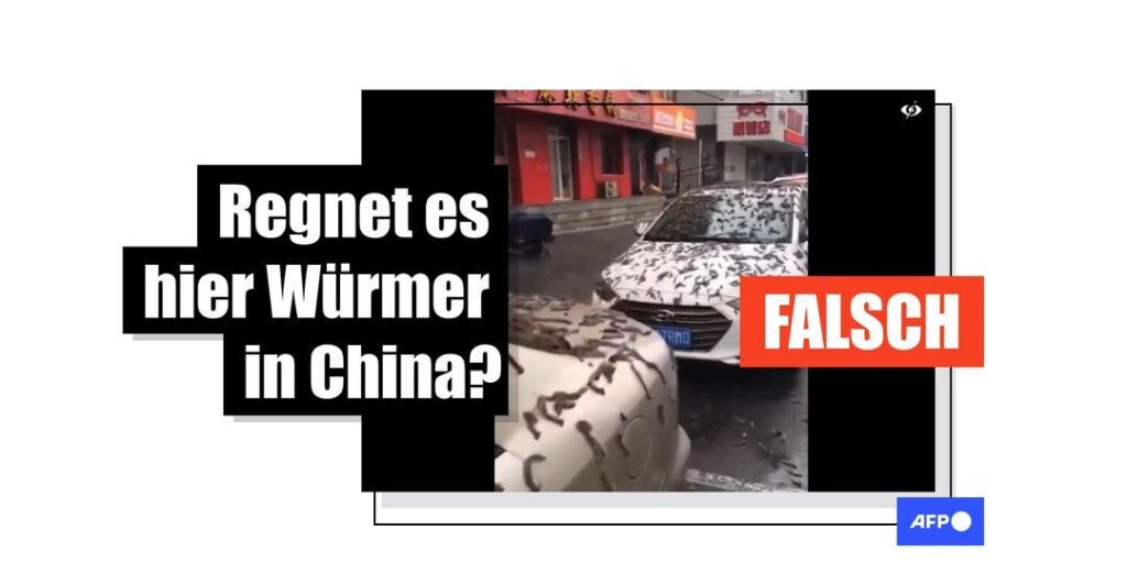 Video zeigt Pappelkätzchen von Bäumen, keinen "Wurmregen" in China - Featured image