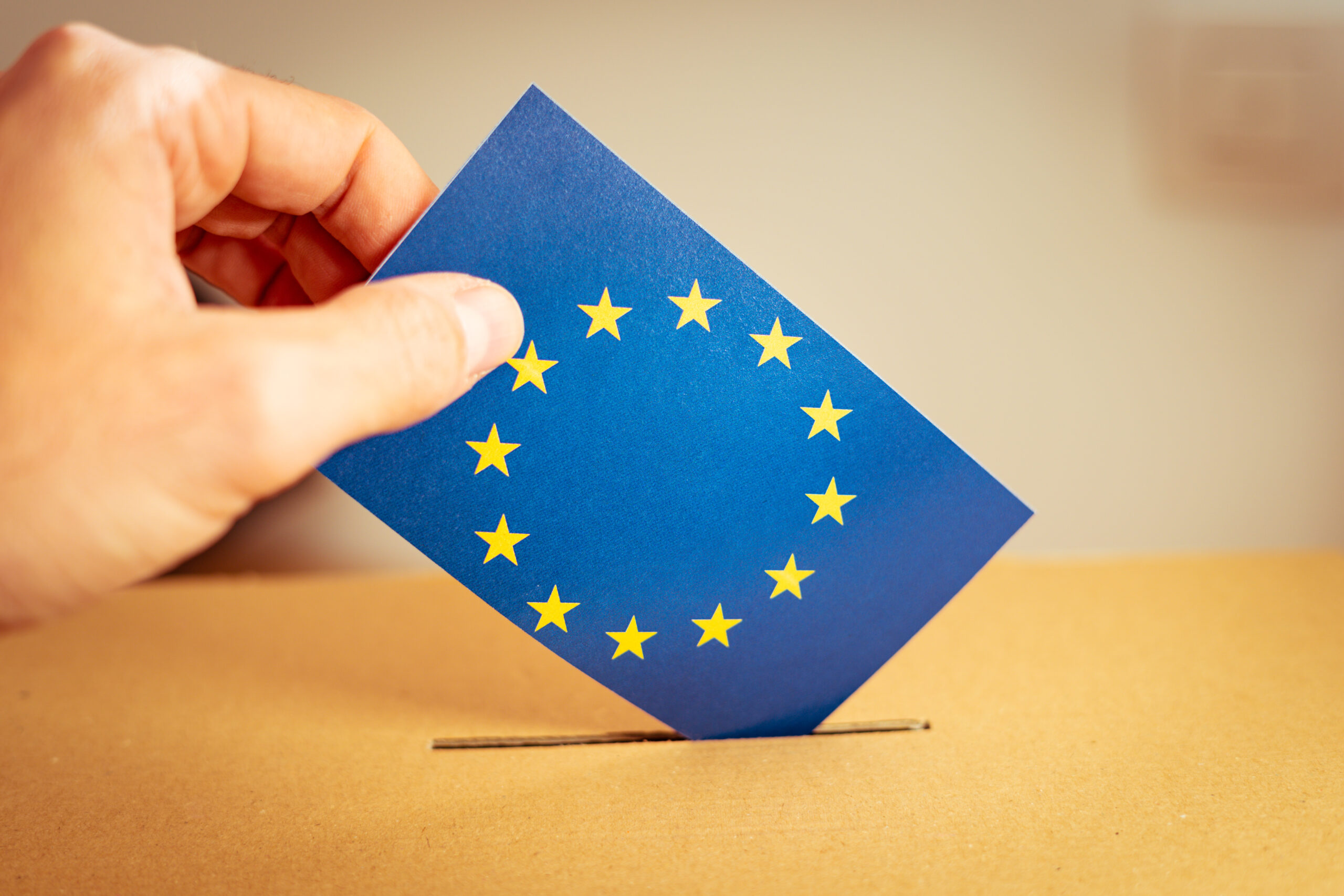 EDMO establishes Task Force on 2024 European Parliament Elections