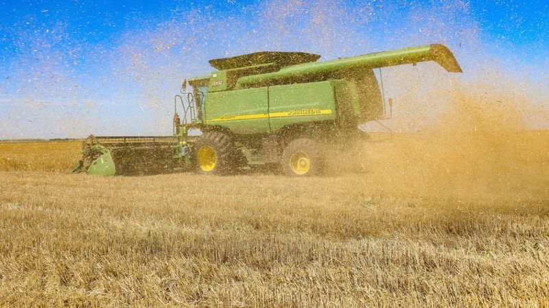 Zehn Prozent der Getreideexporte kamen 2021 aus der Ukraine - Featured image