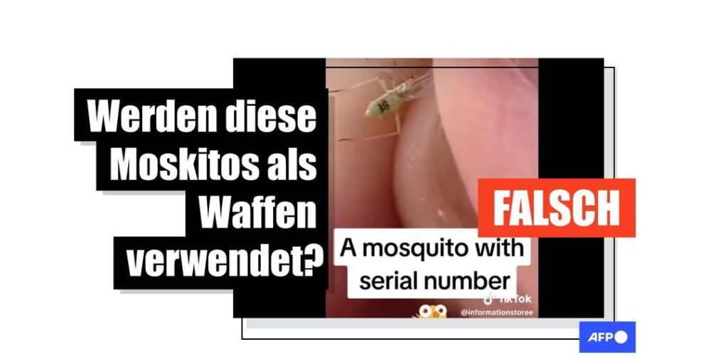 Dieses Video zeigt nicht genetisch modifizierte Stechmücken mit Seriennummern - Featured image