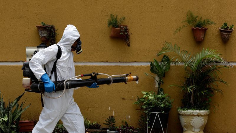 Urbanisierung und Klima verstärken Ausbreitung des Dengue-Virus - Featured image