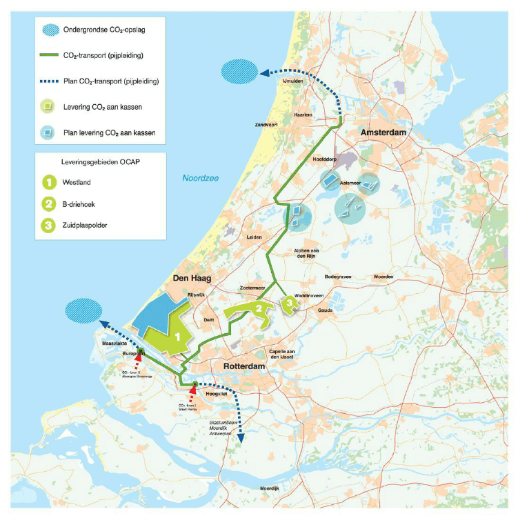 Die Pipeline der Firma OCAP verläuft von Rotterdam bis Amsterdam (grüne Linie) und transportiert CO2 zu verschiedenen Gewächshäusern. Die blau schraffierten Flächen markieren mögliche Speicherorte für CO2 in der Nordsee. Die roten Pfeile zeigen die Orte, an denen CO2 in die Pipeline eingespeist wird.