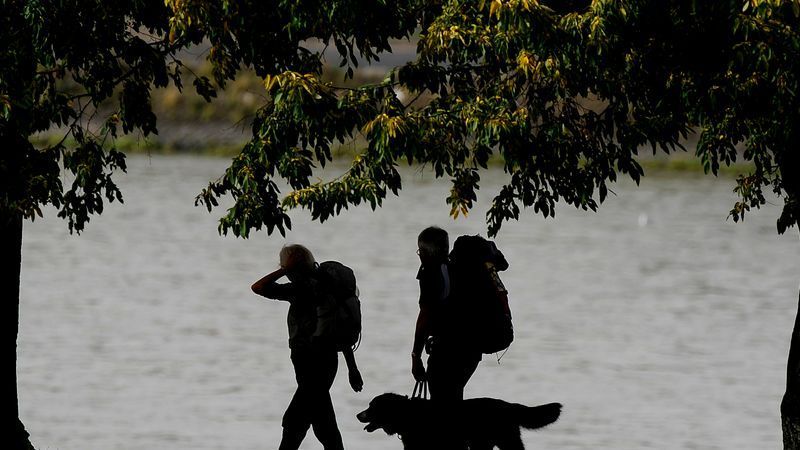 Tierquälerei-Vorwurf: Polizei ermittelt wegen Verleumdung