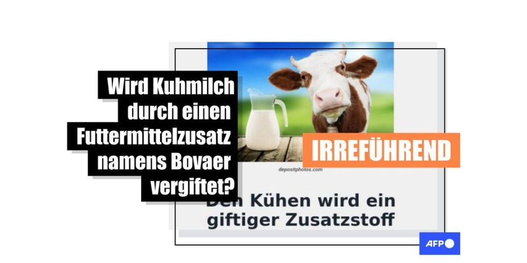 Der Futtermittelzusatz Bovaer schadet weder Kühen noch Menschen - Featured image