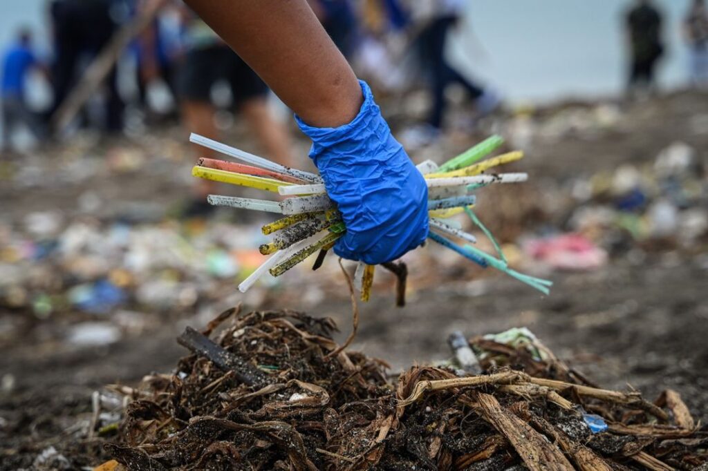 US-Präsident Trump stellt Auswirkungen von Einwegplastik auf Meerestiere falsch dar - Featured image