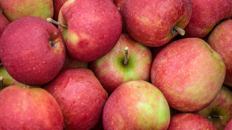 Wirkstoff in SmartFresh EU-weit zugelassen - Featured image
