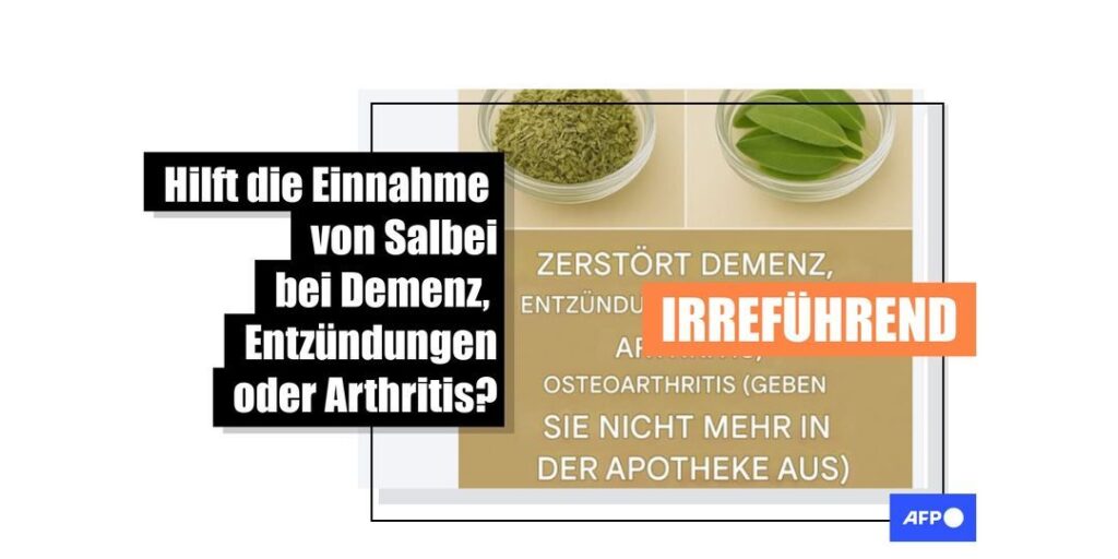 Falsche Heilversprechen rund um Salbei im Faktencheck - Featured image