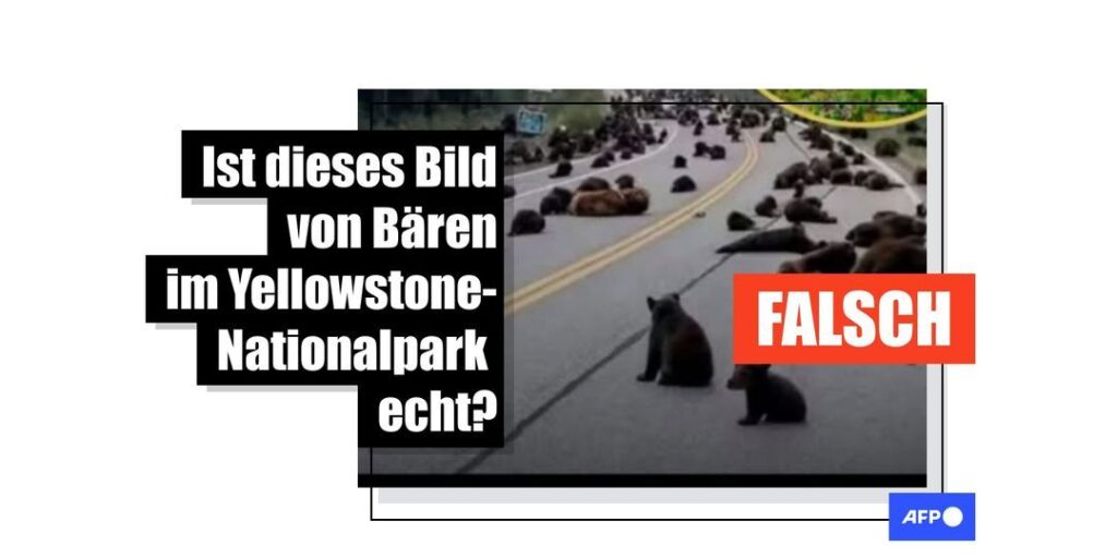 KI-Bilder von Bären im Yellowstone-Nationalpark kursieren mit falschen Katastrophenwarnungen - Featured image