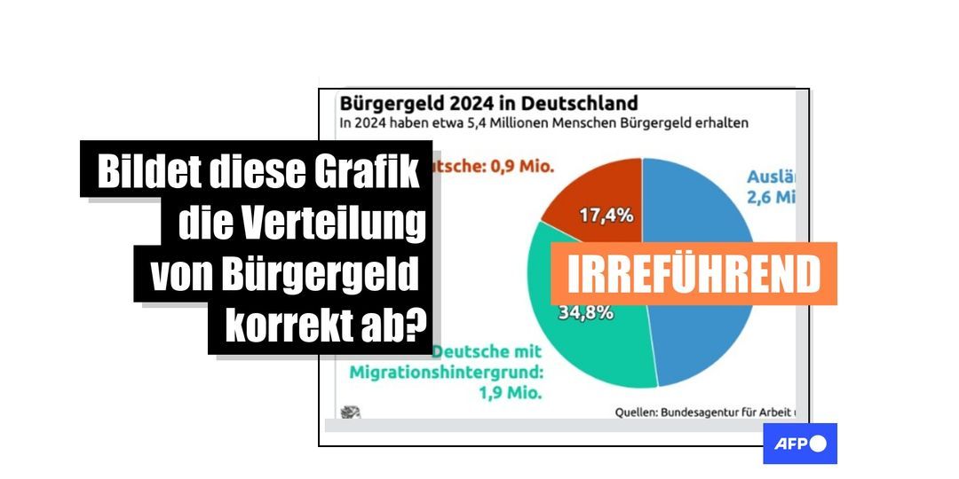 Online verbreitete Grafik zu Bürgergeld und Migrationshintergrund ist fehlerhaft