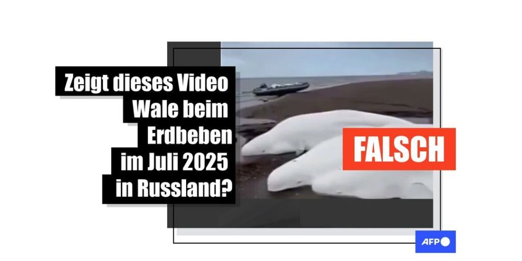 Video von gestrandeten Walen hat nichts mit Erdbeben in Russland im Juli 2025 zu tun - Featured image