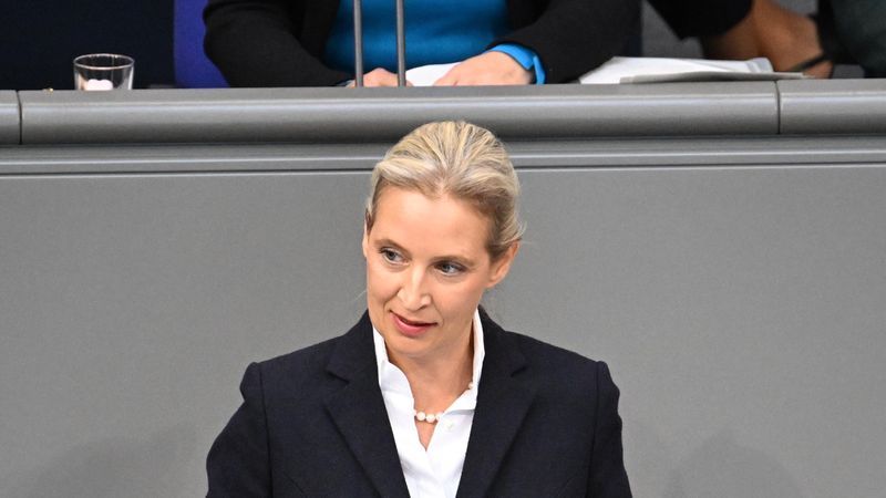 Alice Weidel werden Worte unterstellt, die sie nicht gesagt hat - Featured image