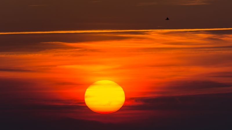 Schleswig-Holsteins Muslime dürfen an Festtagen freinehmen - Featured image