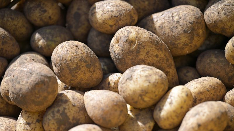 Deutsche Supermärkte beziehen meist heimische Kartoffeln - Featured image
