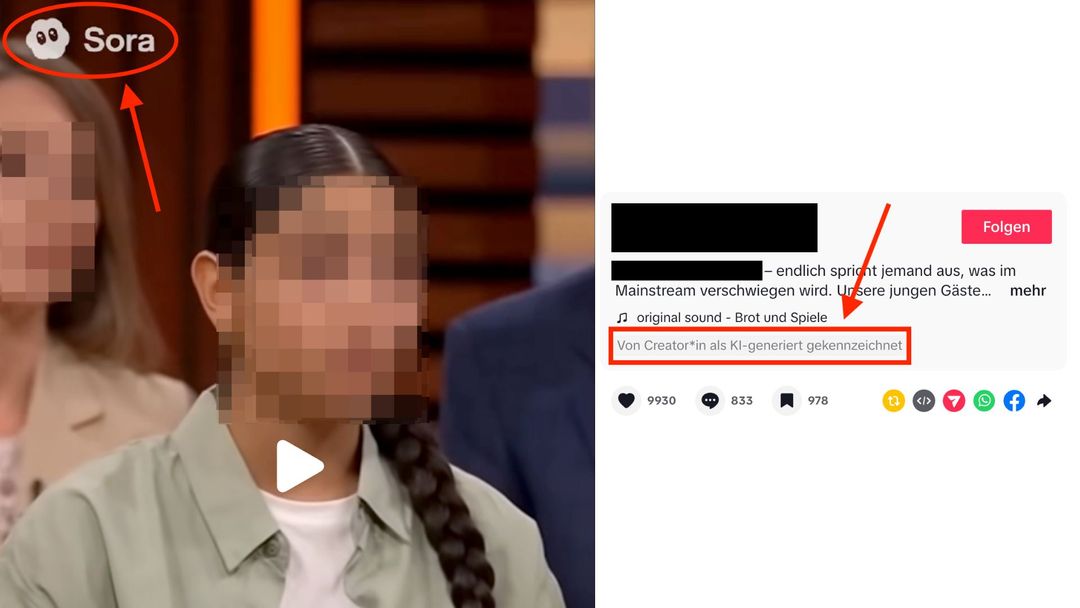 Im Video ist durchweg der Name der App Sora zu lesen. Auf Tiktok ist es außerdem als KI-generiert gekennzeichnet.