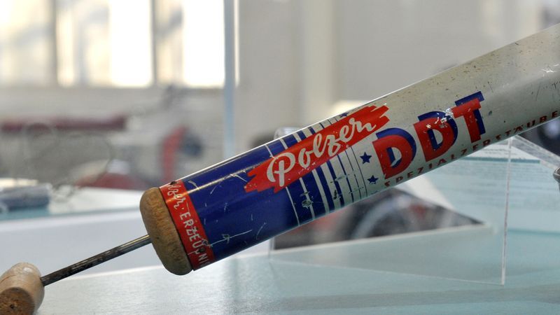 Kein Zusammenhang zwischen Poliovirus und DDT - Featured image