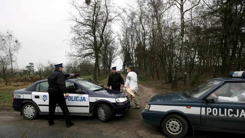 Vogelgrippe breitet sich in ganz Europa aus - Featured image