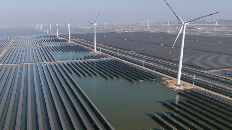 China plant Reduzierung von Treibhausgasemissionen - Featured image