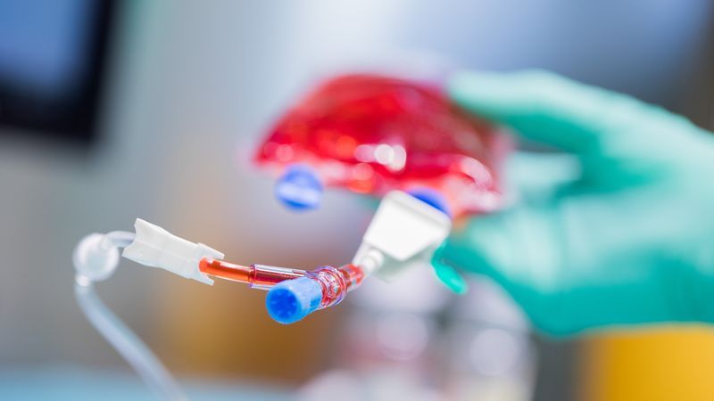 Wirksamkeit der Chemotherapie nachgewiesen - Featured image