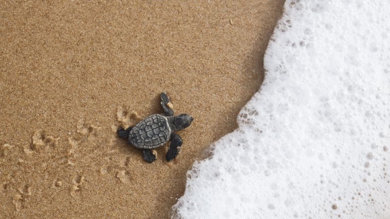 Ähnlicher Name, aber kein Zusammenhang zwischen Projekt und Stiftung - Featured image