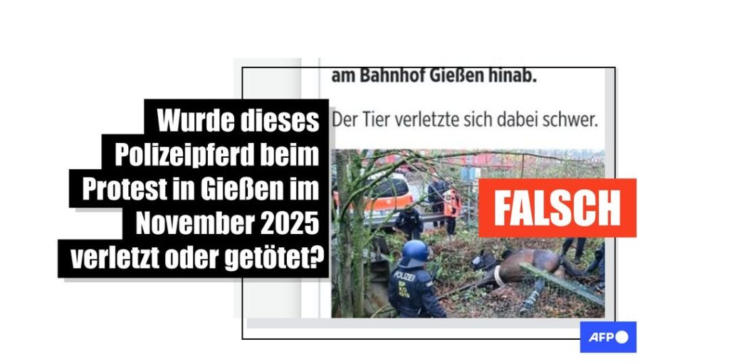Polizeipferd überlebte Sturz bei Demos gegen AfD-Jugendorganisation in Gießen - Featured image