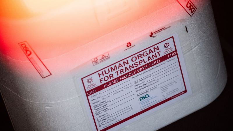 Frei erfundene Geschichte über Organspende-Skandal - Featured image