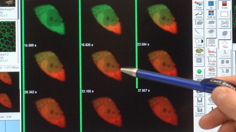 Biopsien sind sicher und Zucker kein Krebsbeschleuniger - Featured image