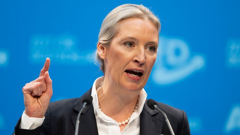 Keine Belege für diese Wohltätigkeit von AfD-Chefin Alice Weidel - Featured image
