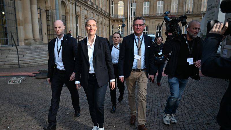 Zusammenbruch von Alice Weidel ist erfunden - Featured image