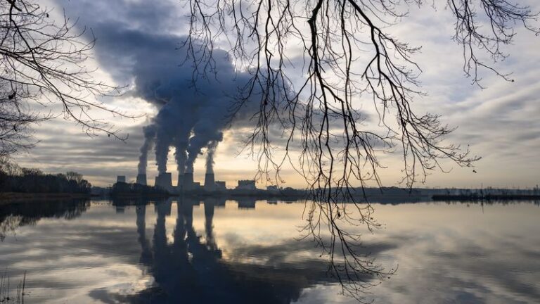 Özden Terli bezieht sich auf Februar - Featured image