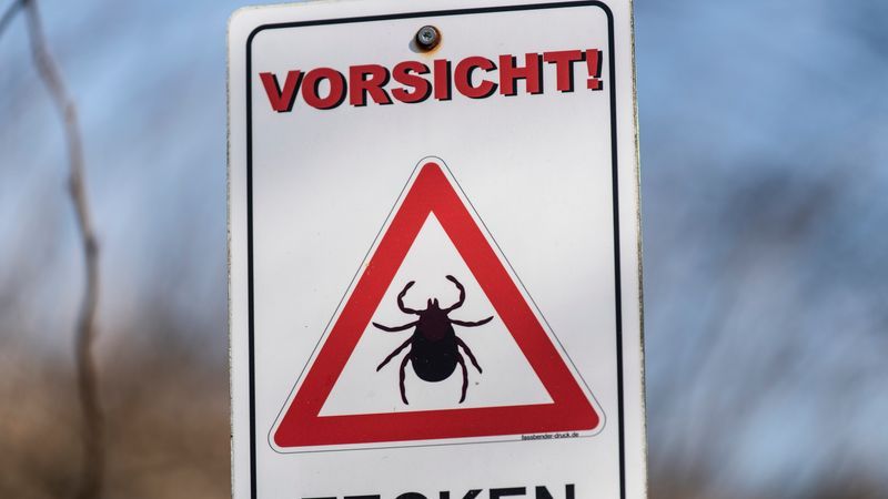 Konstruierter Zusammenhang zwischen Borreliose, Gates und Fleischallergie - Featured image