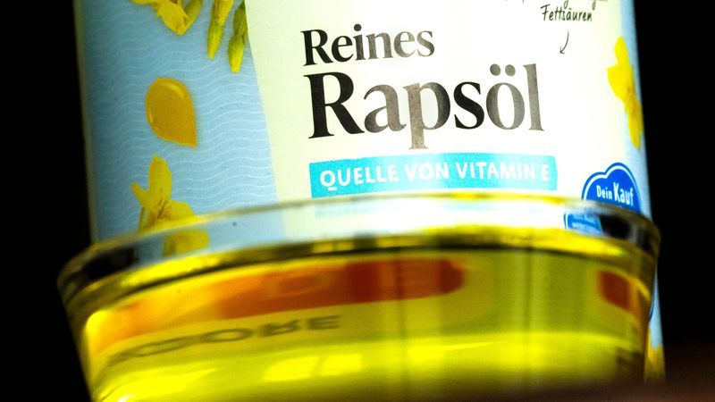 Keine Belege für vermeintliche Gesundheitsgefahren durch Rapsöl - Featured image