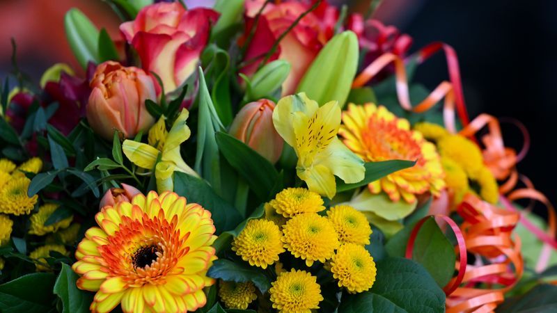 Diskriminierende Geschichte über Blumendiebstahl auf Friedhof erfunden - Featured image