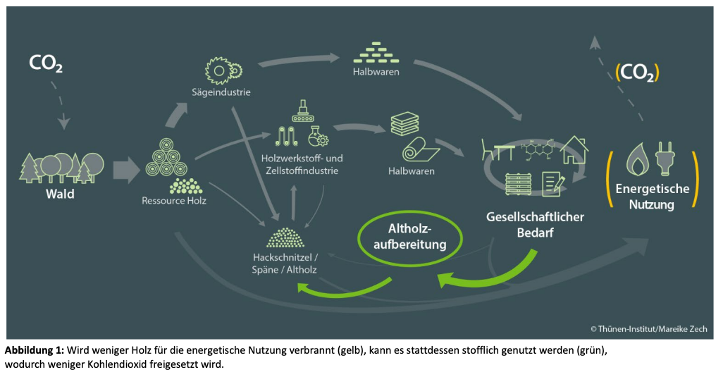 Laut dem UBA und dem Thünen-Institut sollte Holz so lange stofflich genutzt werden wie möglich und erst als letztes verbrannt werden