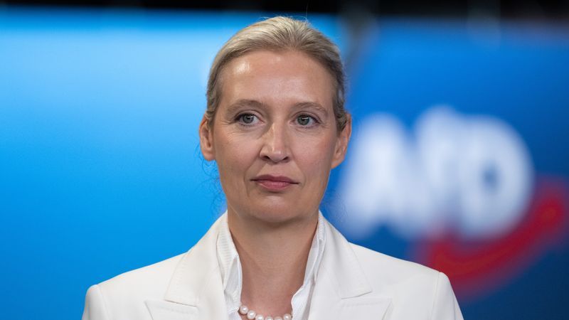Video verbreitet unbelegte Behauptungen zu Weidel-Interview - Featured image