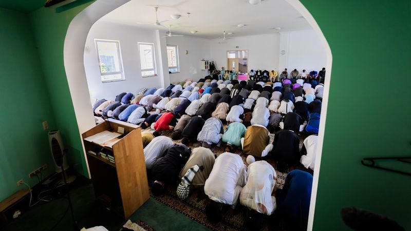 «80 Prozent»-Zahl zu Muslimen und Sozialhilfe ist erfunden - Featured image