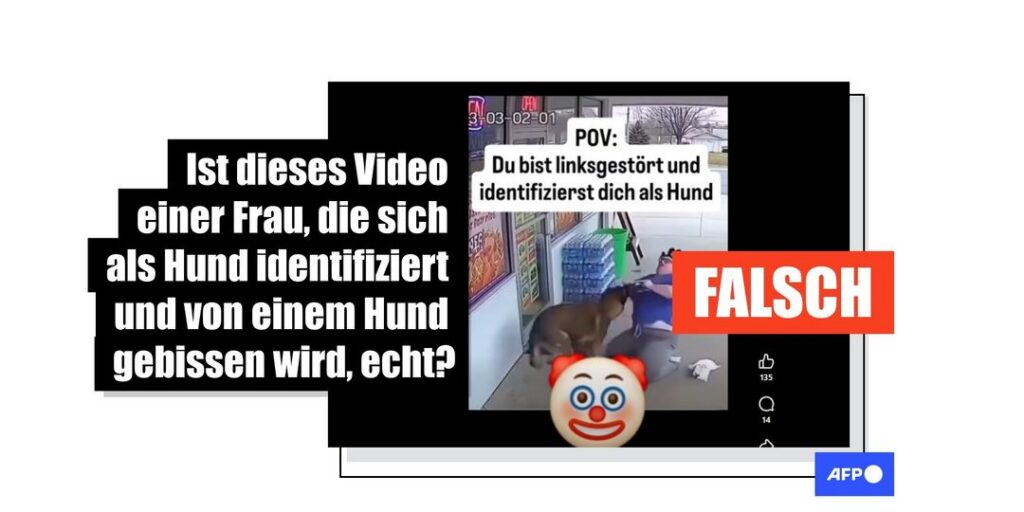 Video einer Hundeattacke auf eine Frau ist KI-generiert - Featured image