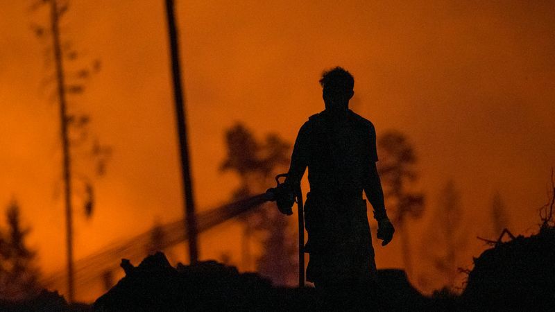 Zusammenhang von Hitze und Waldbränden - was wirklich stimmt - Featured image